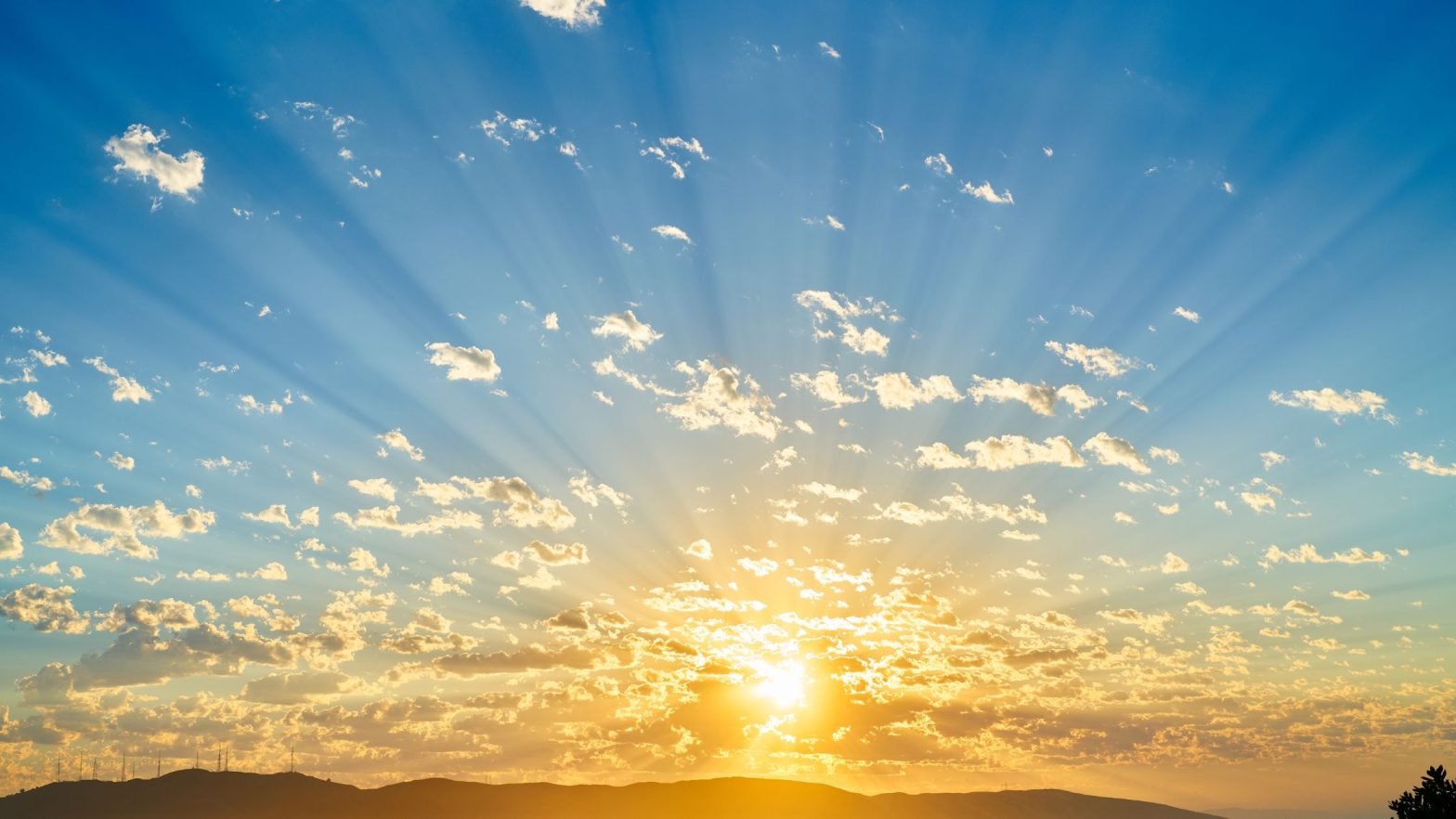 9 Steps to Recovery After Leaving a Cult: Reclaim Your Identity