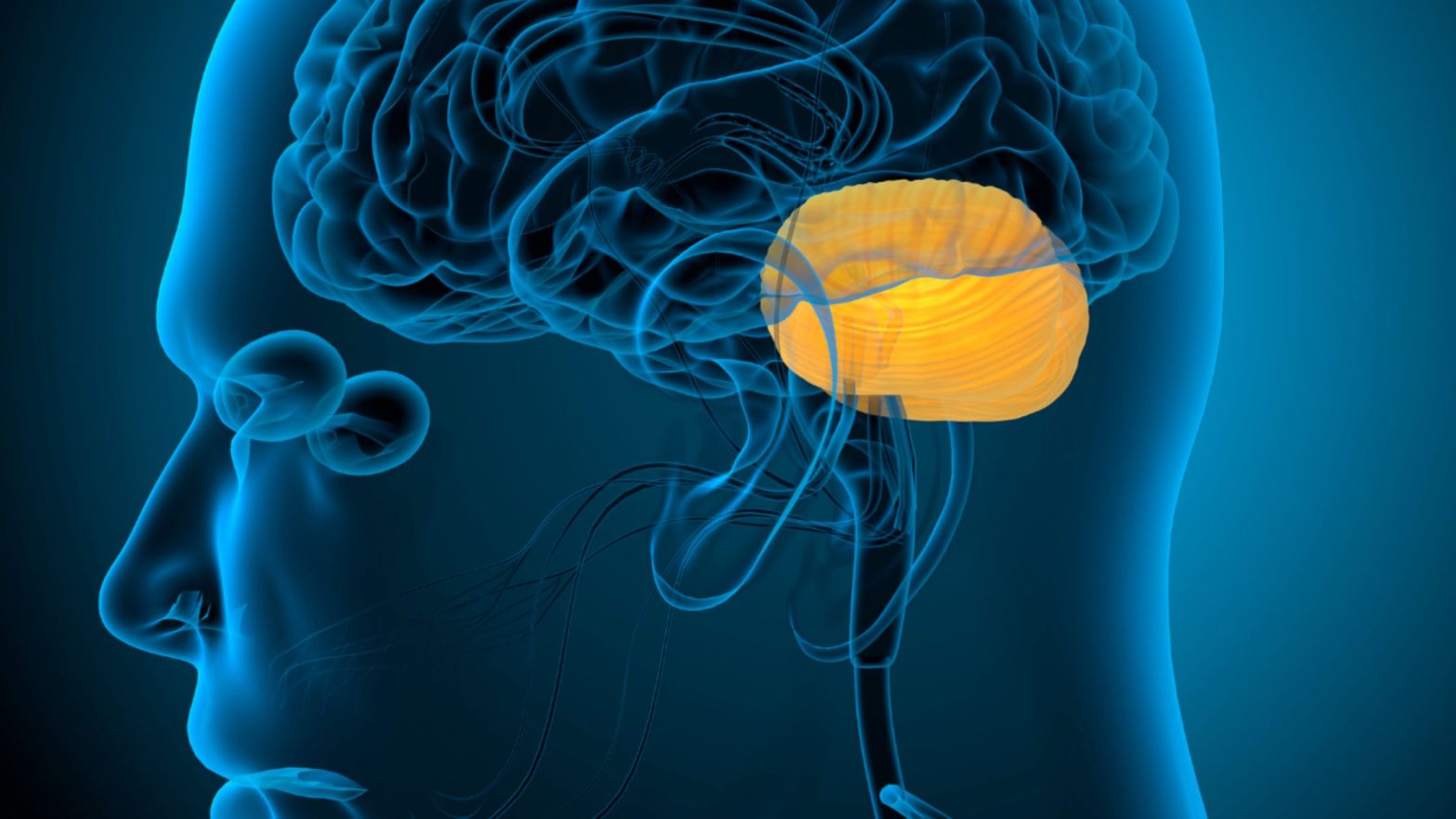 Understanding and Managing Amygdala Hijack